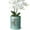 Columnar-Blue, variant on BUYMAX 6" Ceramic Orchid Pot with Slotted Drainage Holes and Tray,White