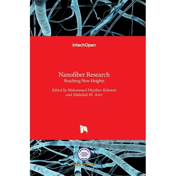 Nanofiber Research: Reaching New Heights (Hardcover)