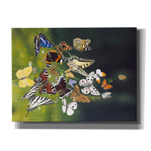 Epic Graffiti 'Butterflies' by Harro Maass, Canvas Wall Art, 16"x12"
