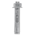 thumbnail image 1 of TAQUETE EXPANSIVO CON TORNILLO 5/16'' X 7/16'' 4 PZ FIERO 44361 Fiero TAE-5/16T, 1 of 2