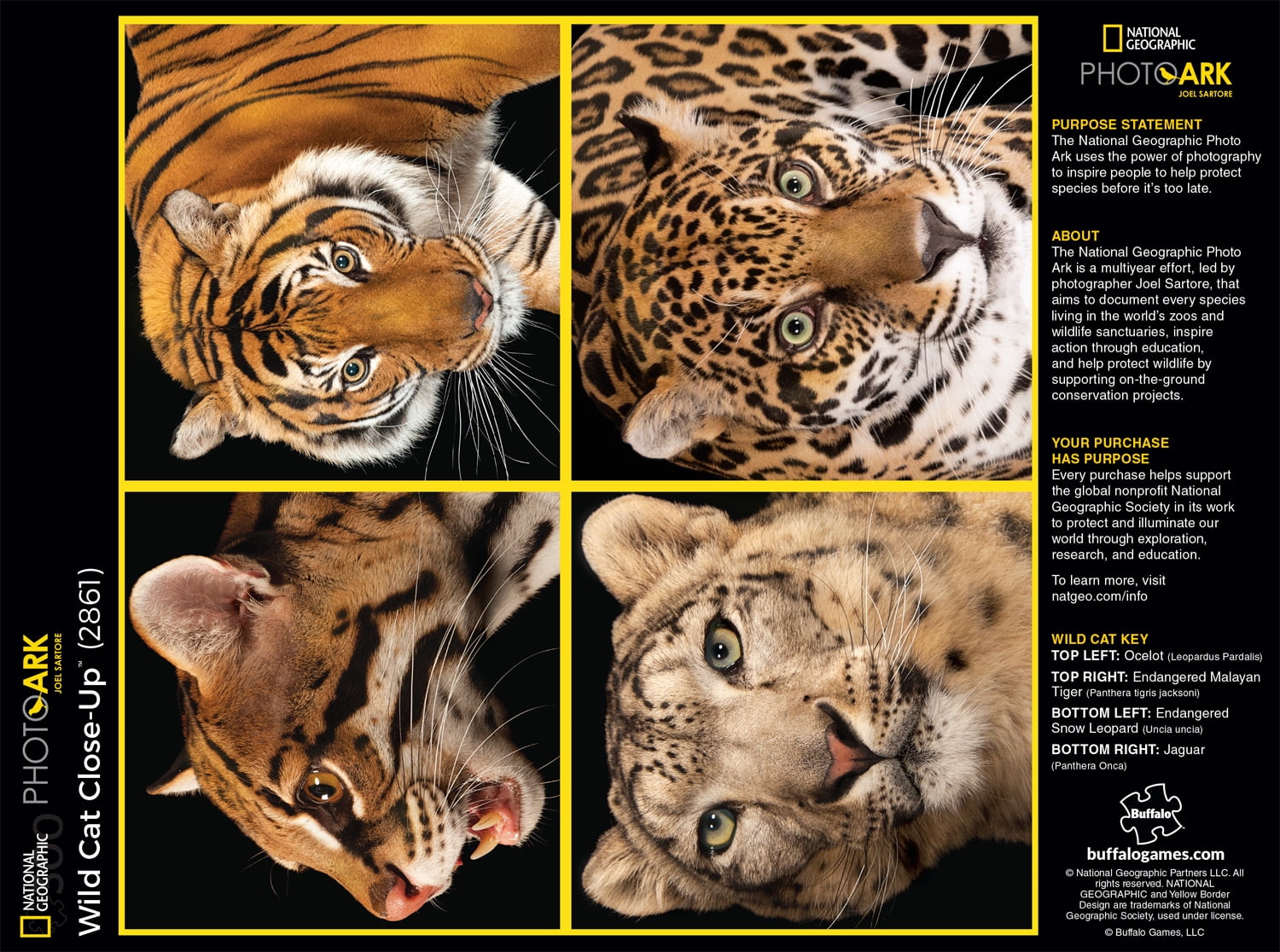 Buffalo Games 300-Piece National Geographic - Photo Ark - Wild Cat Close-up Interlocking Jigsaw Puzzle