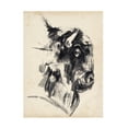 thumbnail image 1 of Jennifer Paxton Parker 'Bison Head Gesture I' Canvas Art, 1 of 3