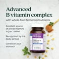 New Chapter Vitamin B Complex Fermented Coenzyme B Complex Rich in