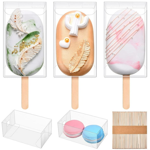 4 pieces fancy popsicle cakesicle box