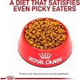 thumbnail image 2 of Canine Renal Support F Adult Dry Dog Food 17.6 lbs., 2 of 2