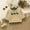 Beige, variant on Boys Sweater with Adorable Embroidery Autumn Winter Warm Top for Toddlers and Kids Sweater Kids Boy Fall Clothes Kids Zip up Jacket Toddler Casual Clothes for Boys Sweaters Zip up Youth Half Zip