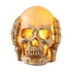 thumbnail image 1 of Matsuzay Decoración de interiores Luces de calaveras que brillan intensamente para fiestas de Halloween Opción blanca Kits de decoración para fiestas no escuchar con lámpara, 1 of 6