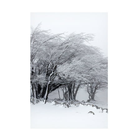 Incado 'Winter Storm' Canvas Art