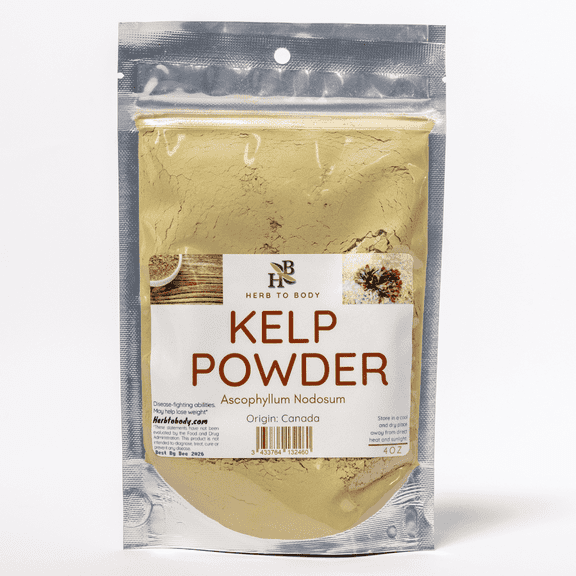 Herb To Body Kelp Powder | Ascophyllum Nodosum | Wildcrafted | 4oz