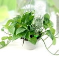 thumbnail image 4 of 12 x Sistema de riego de botellas de riego de plantas de flores de riego de cono de jardín Ndcxsfigh Nuevos Originales, 4 of 6