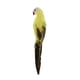 thumbnail image 2 of Figura decorativa de loro en miniatura, modelo de animal, para bodas do, 2 of 7