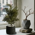 thumbnail image 6 of Black Artificial Potted Plants, Fake Indoor Greenery, Modern Office Desk Decor, Realistic Faux Bonsai, Low Maintenance Home Ornament, Decorative Small Plant, 6 of 6