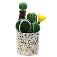 thumbnail image 1 of Flor falsa planta tropical cactus bonsai planta decorativa creativa flor falsa planta verde, 1 of 5