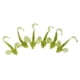 thumbnail image 2 of 6pcs Curl Tail Señuelo de plástico blando Pesca Cebos artificiales Señuelos Verde shamjiam Señuelos de gusano Grub, 2 of 6