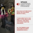 thumbnail image 6 of Haunted Hill Farm Motion-Activated Wicked Cauldron Witches, Premium Talking Halloween Animatronic, Plug-In, HHWTCHCLDN-3FLSA, 6 of 20