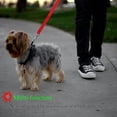 thumbnail image 5 of Seatbelt Leash Dog Pet Car Safety Belt Harness Collar Restraint Lead Adjustable, 5 of 9