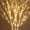 white, variant on HCBY Bendable LED Birch Branch Lights, 50 Warm White Waterproof Twig with Timer for Home Wedding Christmas Decor, Indoor/Outdoor Flexible Fairy Light (white,31.5")