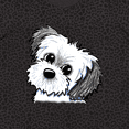 thumbnail image 4 of Inktastic Shih Tzu Sweetie Women's Plus Size T-Shirt, 4 of 5