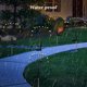 thumbnail image 3 of Bewildely 2 piezas de luz Solar para jardín, Patio trasero, Patio de casa, lámpara de tierra impermeable, accesorios de iluminación para exteriores, Iluminación y accesorios Blanco cálido Bewildely HA073260-01, 3 of 6