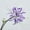Light Purple, variant on Artificial Equinox Flower Lilies Silk Flowers with Long Stem Home Decoration
