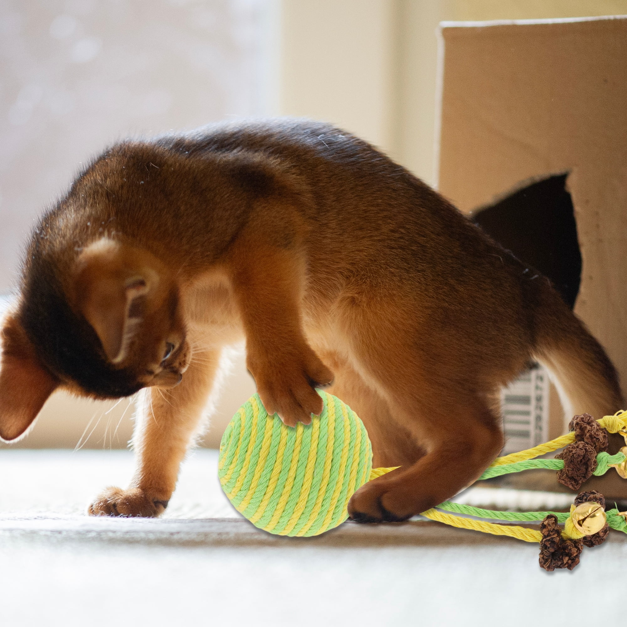 Unique Bargains Safe Teeth Cleaning Chew Balls for Cat [Gall Fruit Combination]