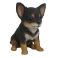 thumbnail image 2 of Black & Brown Chihuahua Puppy, 2 of 4