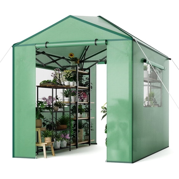 QinaQin 8x6ft/8x12ft Portable Pop-Up Greenhouse, Walk-In Greenhouse, Galvanized Steel Frame, Green Pe Cover, Zipper Door and Roller Shutter, Suitable for Outdoor Gardening
