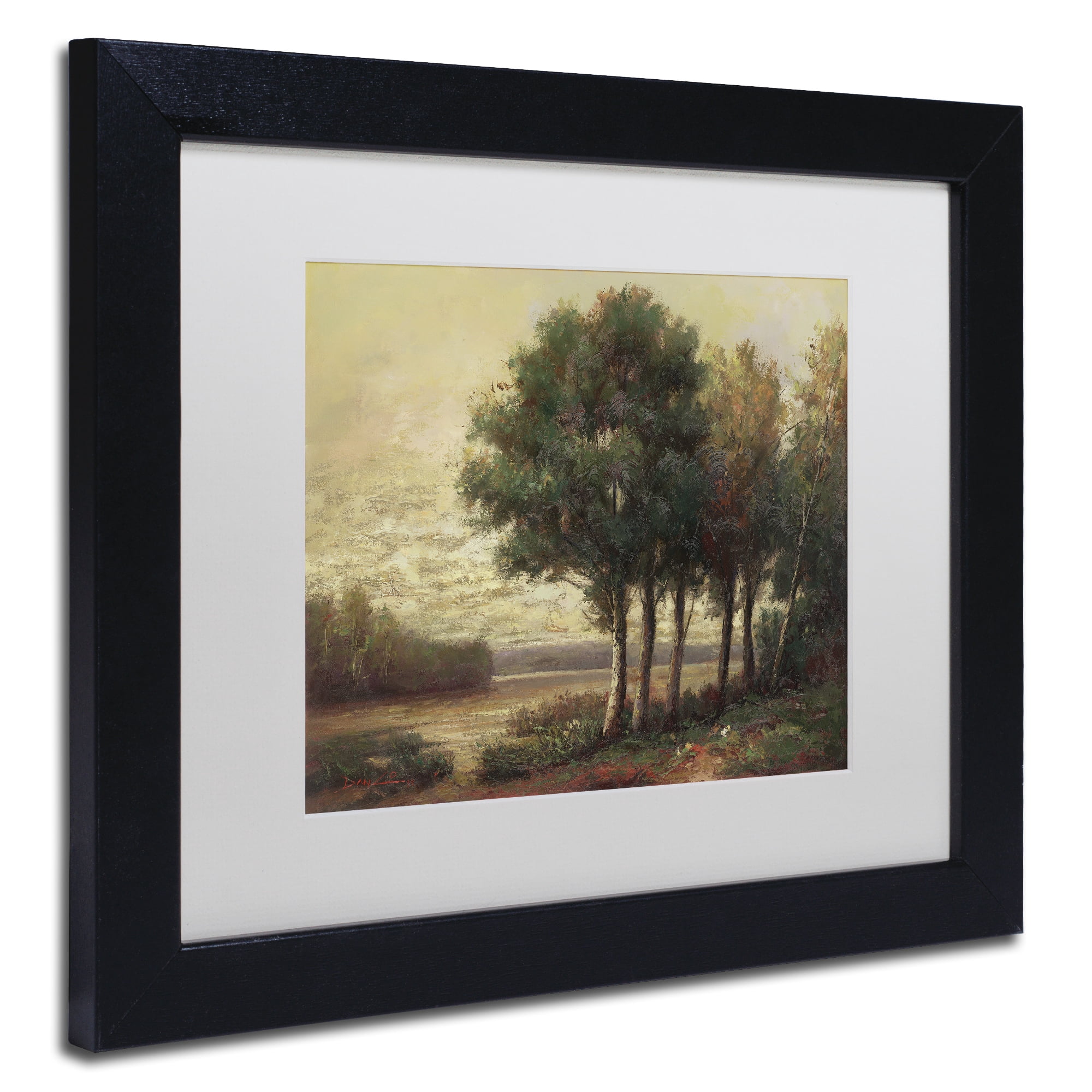 Trademark Fine Art "Tranquility" Canvas Art by Daniel Moises, White Matte, Black Frame