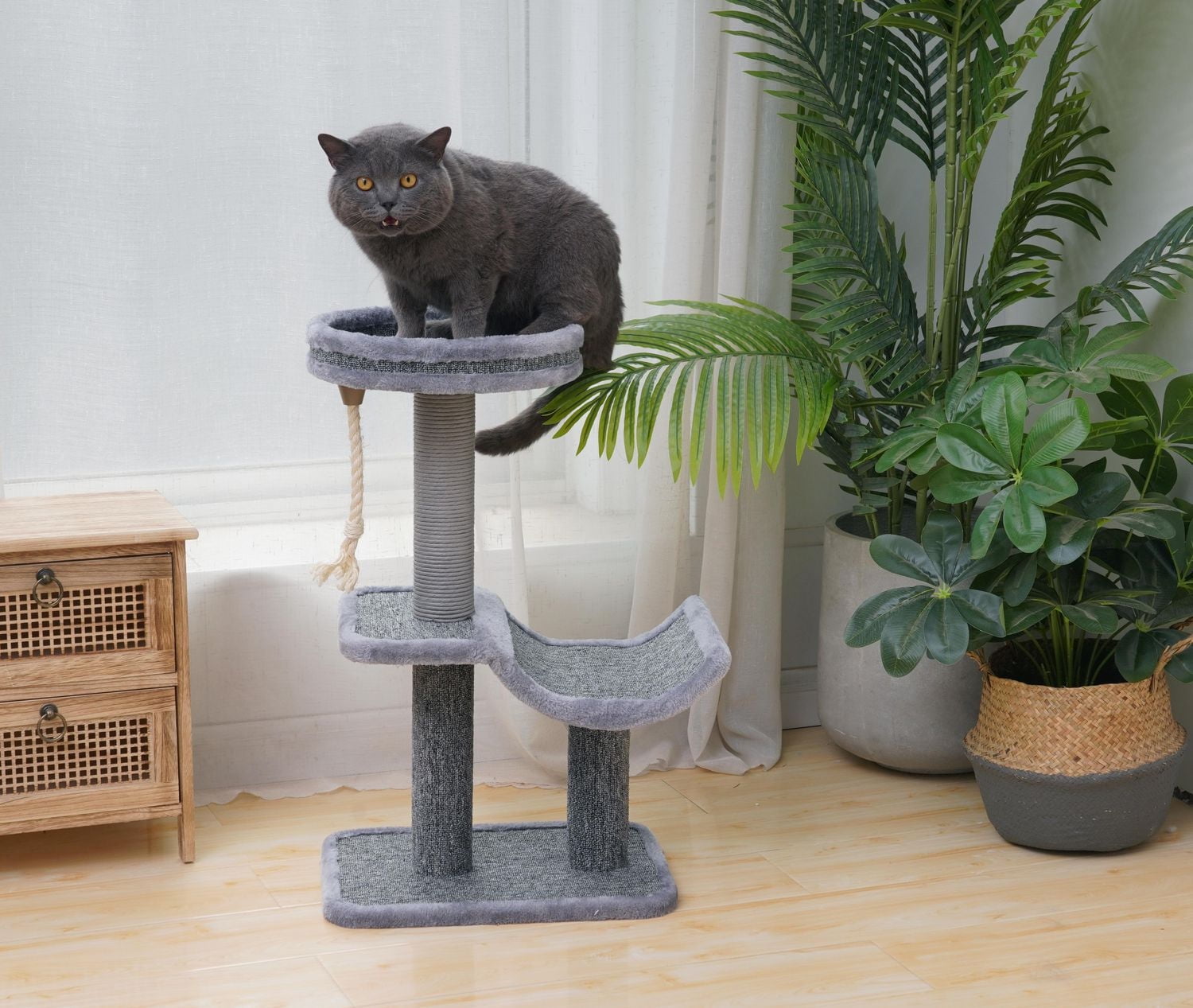 Catry Grimbit Small Minimalistic Carpet Cat Tree