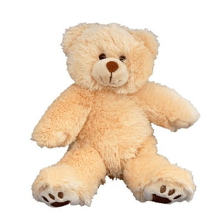 Recordable Bear