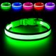 thumbnail image 1 of wonima02 LED Dog Collar, Light Up Dog Collar USB Rechargeable, Brightest Dog Lights for Night Walking, Adjustable Dog Collar Light for Dog Safety(Medium, Neon Green), 1 of 1