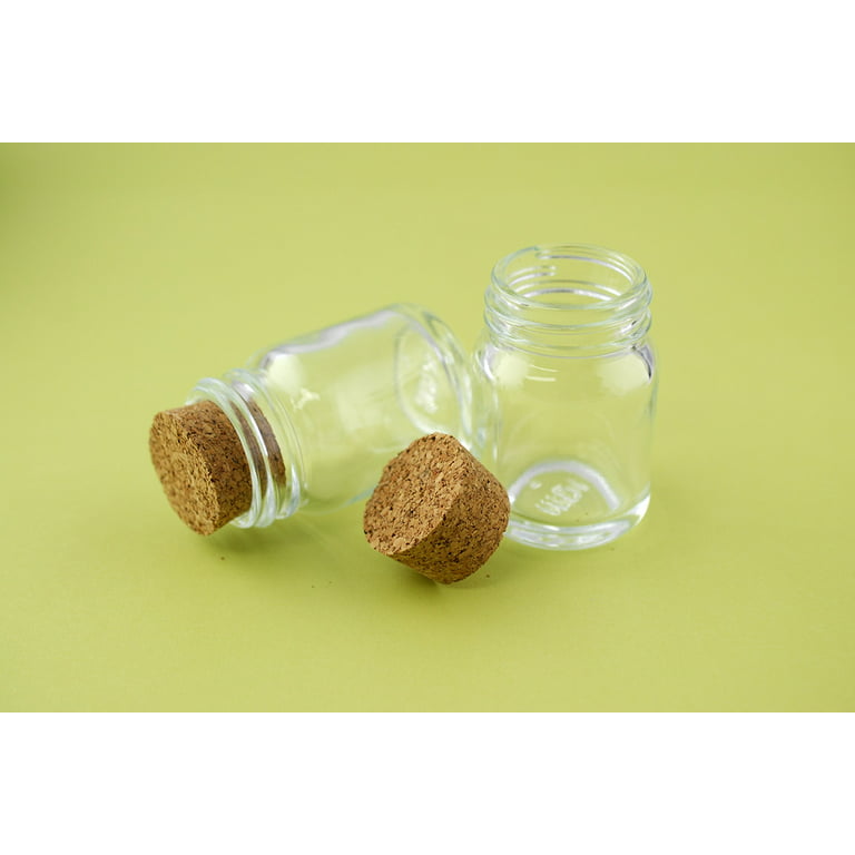 12 Pack 50ml Small Glass Bottles with Cork Stopper, Mini Jars With