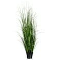 thumbnail image 1 of 48" Green Lemongrass Potted, 1 of 1