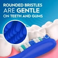 thumbnail image 4 of Brosses à dents Oral-B Protection contre la carie, moyenne, 4 of 12