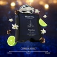 thumbnail image 2 of BELLAVITA Luxury Mood Collection ALPHA Perfume for Men 100ml | Pheromone Inspired Technology Long Lasting Fragrance | Notes of Floral, Woody and Citrus | Gourmet, Spicy Premium Fragrance, 2 of 9