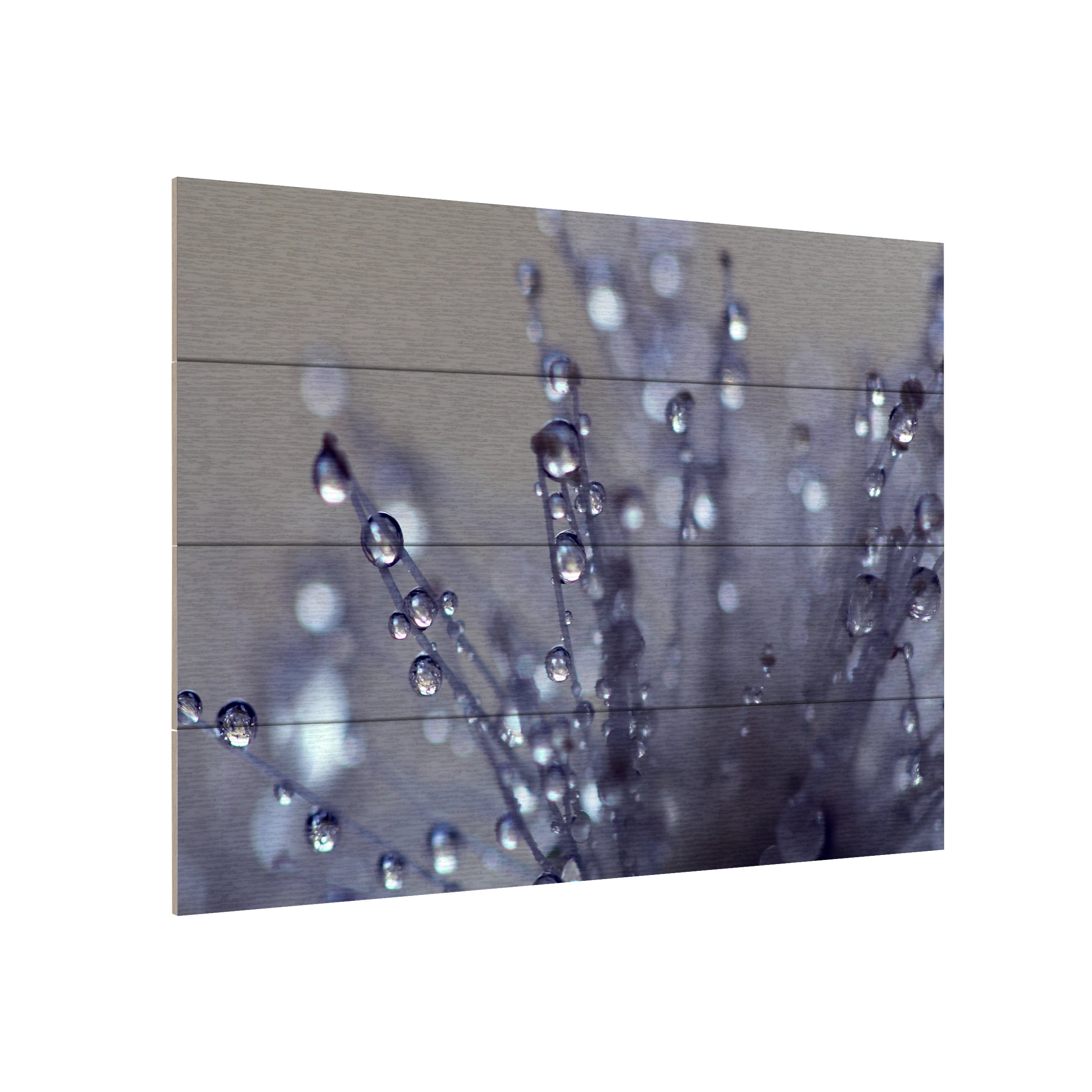 Trademark Fine Art 'Evening Jewels' Wooden Wall Art Art by Beata Czyzowska Young