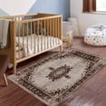 thumbnail image 3 of FJPT Vintage Floral Medallion Border Design Soft Small Area Rugs Non Slip Indoor Floor Carpet for Living Room Bedroom Decor, 3 of 5