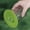 Green, variant on Feng Shui Import Silicone Diamond Cup Cover for Hot And Cold Drinks,11cm Dust Proof Cup Lid with Removable Jewel Knob,Reusable Microwave Safe Coffee Cup Topper