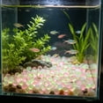thumbnail image 6 of 100Pcs Teardrop Luminous Pebbles, Glow in The Dark Garden Stones for Walkway, Solar Powered Glowing Rocks for Fish Tank & Flower Bed, Waterproof Resin Landscape Decor for Outdoor Path, 6 of 7