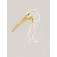 thumbnail image 2 of Caroline, Emma 12x14 Gold Ornate Wood Framed with Double Matting Museum Art Print Titled - Bright Pelican Sketch I, 2 of 4