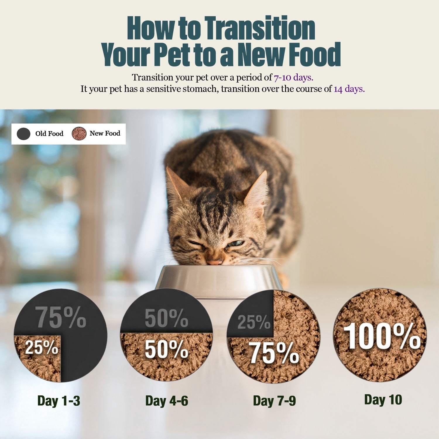 Chewer's Joy Tuna & Salmon, Tuna & Turkey, Tuna & Chicken Wet Cat Food Variety Pack, High Protein, 12 Cans (85g)