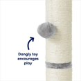 thumbnail image 5 of Frisco 21-in Sisal Cat Scratching Post with Toy, Gray, 5 of 5