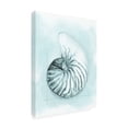 thumbnail image 2 of Trademark Fine Art 'Coastal Shell Schematic II' Canvas Art by Megan Meagher, 2 of 3