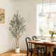 thumbnail image 4 of QinaQin Árbol de olivo artificial de 5 pies con maceta blanca y frutos realistas, planta decorativa para sala, oficina o recibidor, 4 of 9