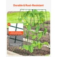thumbnail image 2 of VEVOR A-Frame Cucumber Trellis 46" x 32" Foldable Metal Garden Trellis, 2 of 9