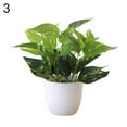 thumbnail image 2 of SPRING PARK Fresh Artificial Foliage Plant Potted Bonsai for Wedding,Table,Cabinet Decoration, 2 of 7