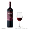 thumbnail image 3 of Vino Tinto Concha y Toro Casillero del Diablo Devil's Carnaval Spectacular Cabernet 750 ml, 3 of 4