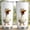 White, variant on Funny Rooster 20oz Stainless Steel Tumbler, Leak-Proof Insulated Coffee Cup with Lid, Funny Tumbler for Home Office, Birthday Gag Gift for Chicken Lovers