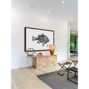Sunfish Framed Painting Print