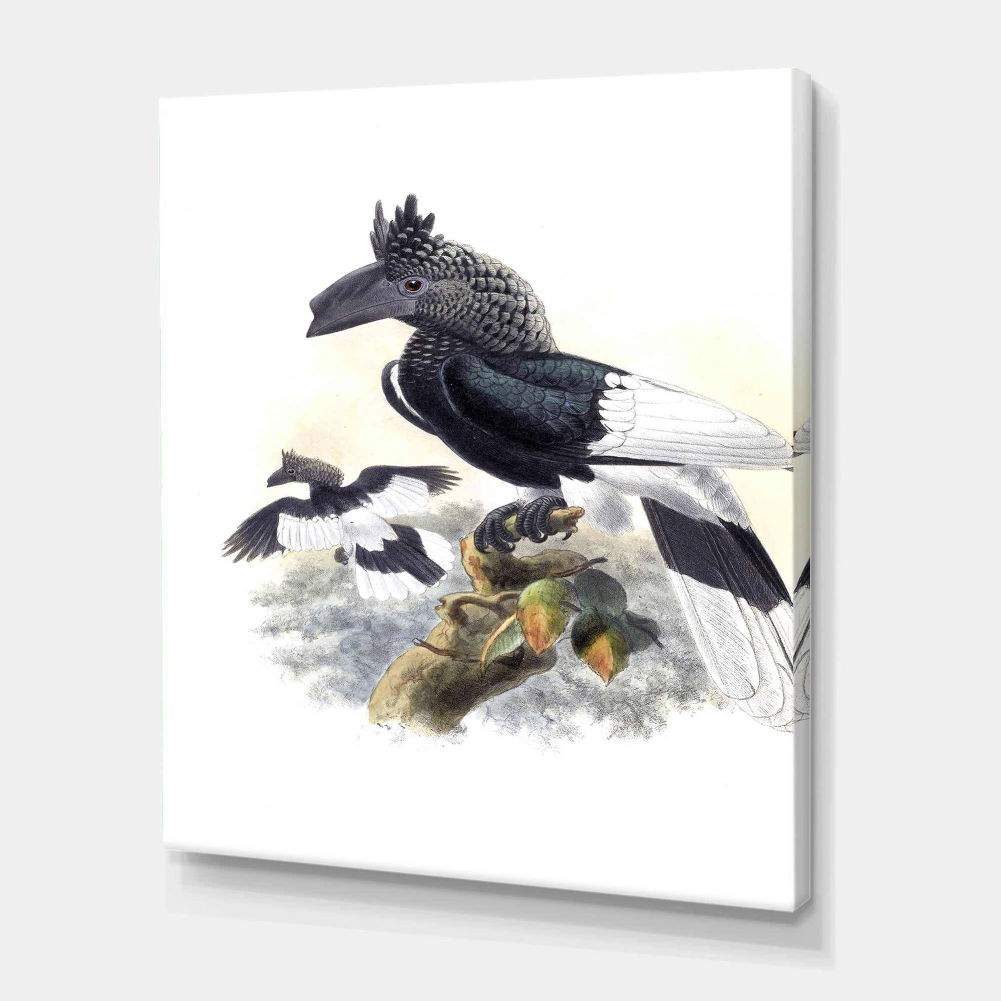 Designart ' Ancient Australian Birds XVI ' Traditional Canvas Wall Art Print